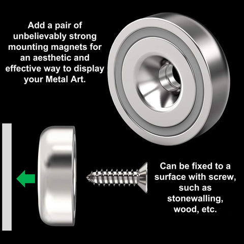 Pair of Mounting Magnets